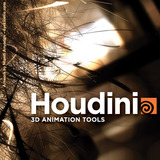 Houdini -  Go Procedural