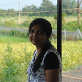 heena gawande